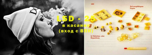 сатива Абаза
