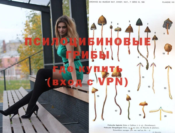 гидра Абинск