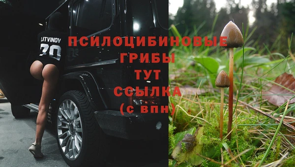 эйфоретик Алексеевка