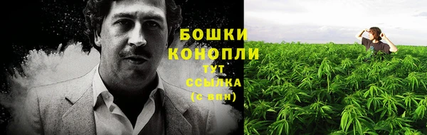 сатива Абаза