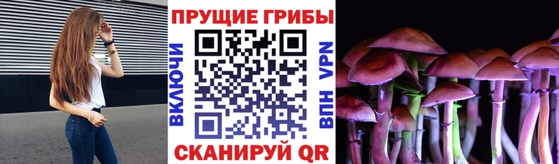 Псилоцибиновые грибы Magic Shrooms  Томилино 